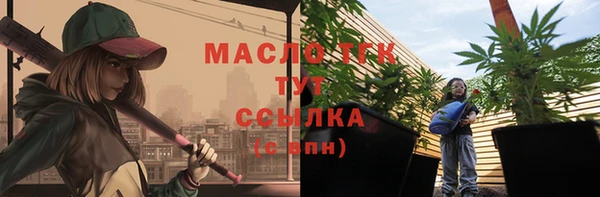 Альфа ПВП Няндома