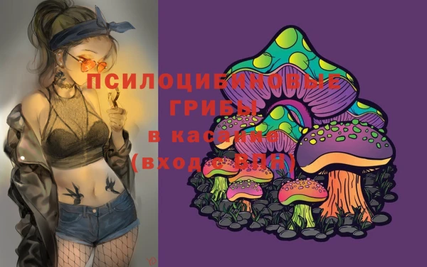 Альфа ПВП Няндома