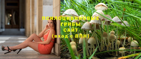 стафф Абдулино