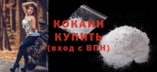 Альфа ПВП Няндома