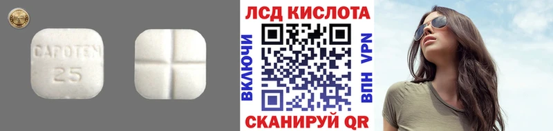 где купить наркоту Холмск Лсд 25 экстази кислота
