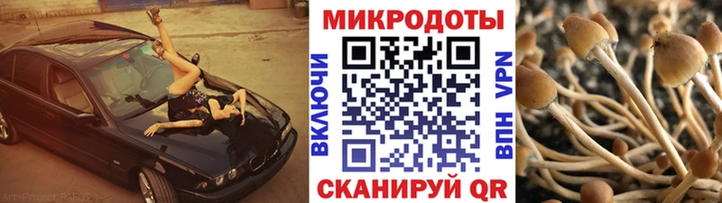 Галлюциногенные грибы мухоморы  Холмск 
